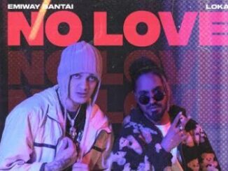 NO LOVE Lyrics - Emiway Bantai & Loka