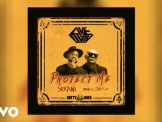 Protect Me Lyrics - Sean Paul Ft. Serani