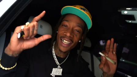 SKI Weedmix Lyrics - Wiz Khalifa