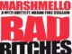 Bad Bitches Lyrics - Marshmello, Nitti Gritti & Megan Thee Stallion