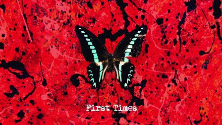 First Times Lyrics - Ed Sheeran