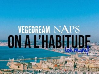 On a l’habitude (Ok Many) Lyrics - Vegedream