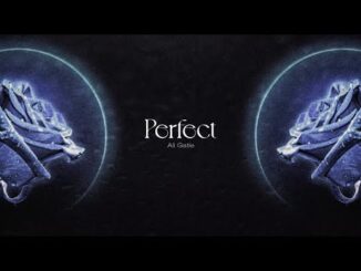 Perfect Lyrics - Ali Gatie