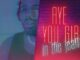 Ayo Girl (Fayahh Beat) Lyrics - Robinson & Jason Derulo