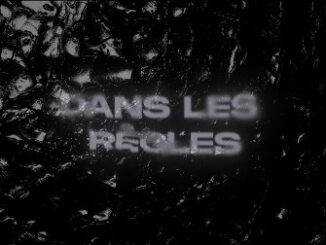 Dans les règles Lyrics - Ziak