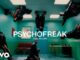 psychofreak Lyrics - Camila Cabello Ft. WILLOW