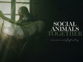 Together Lyrics - Social Animals