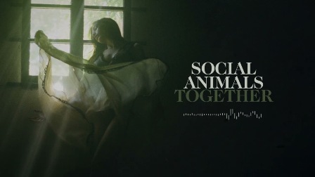 Together Lyrics - Social Animals