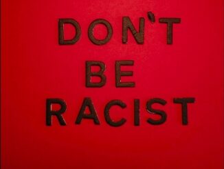 Don't Be Racist Lyrics - Magnolia Park