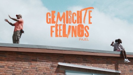 Gemischte Feelings Lyrics - Pajel