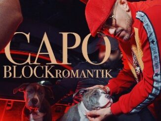 BLOCKROMANTIK Lyrics - CAPO