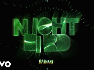 Nightbird Lyrics - DJ Snake