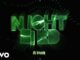 Nightbird Lyrics - DJ Snake