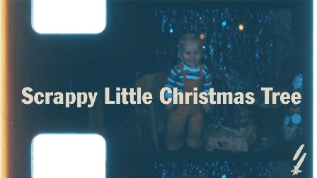 Scrappy Little Christmas Tree Lyrics - Switchfoot