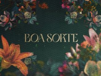 Boa Sorte Lyrics - Alok & Cat Dealers