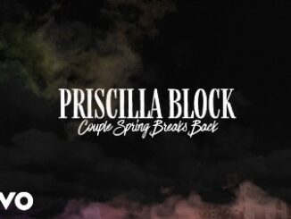 Couple Spring Breaks Back Lyrics - Priscilla Block