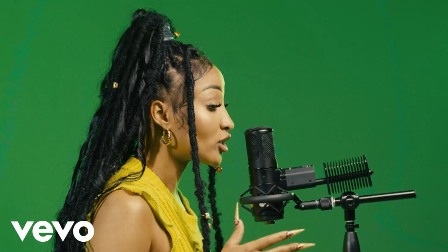 Locked Up Freestyle Lyrics - Shenseea